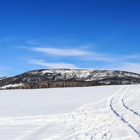 Holiday Home Holiday Hill 67 By Interhome Cista  Экстерьер фото